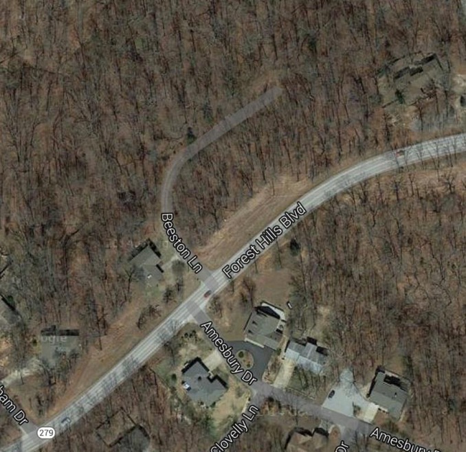 8 Beeston Ln, Bella Vista, AR 72715 - photo 1