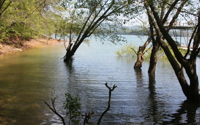 Main View