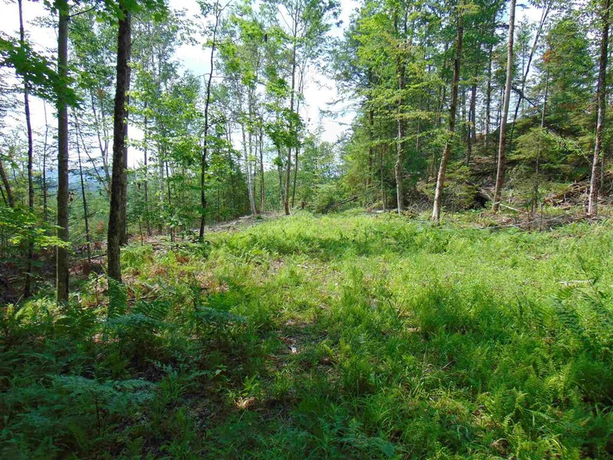 0 Slate Ledge Rd, Waterford, VT 05819 - photo 1