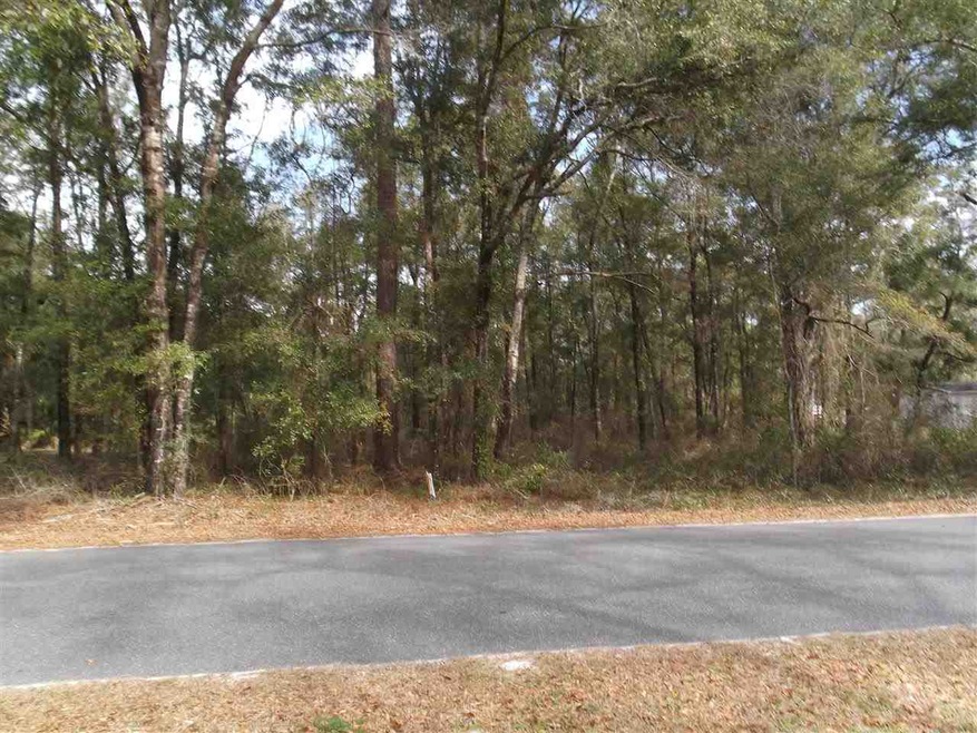 0 Purify Bay Rd unit x 242543, Crawfordville, FL 32327 - photo 1
