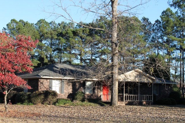 Main View