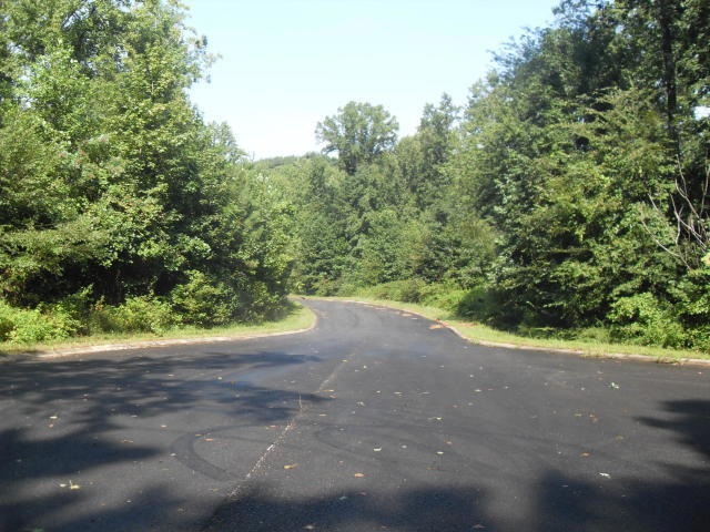 Loblolly Lane 1