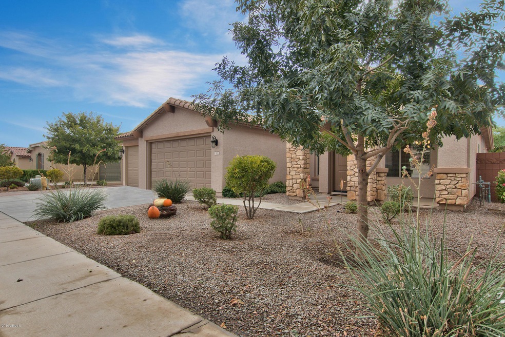 573 W Lyle Ave, San Tan Valley, AZ 85140 - photo 1