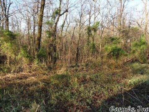 000 Greene 720 Rd, Paragould, AR 72450 - photo 1