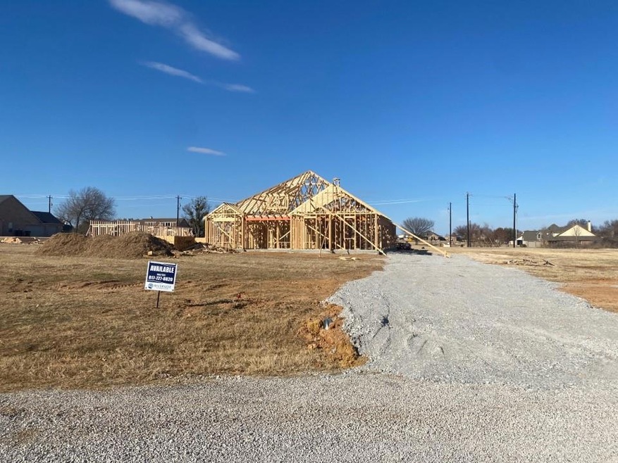 100 Cooper Ct, Springtown, TX 76082 - photo 1