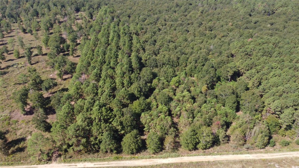 TBD Farm To Market Road 2457, Livingston, TX 77351 - photo 1