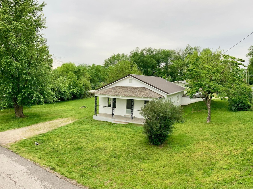 205 N Fleetwood St, Ava, MO 65608 - photo 1