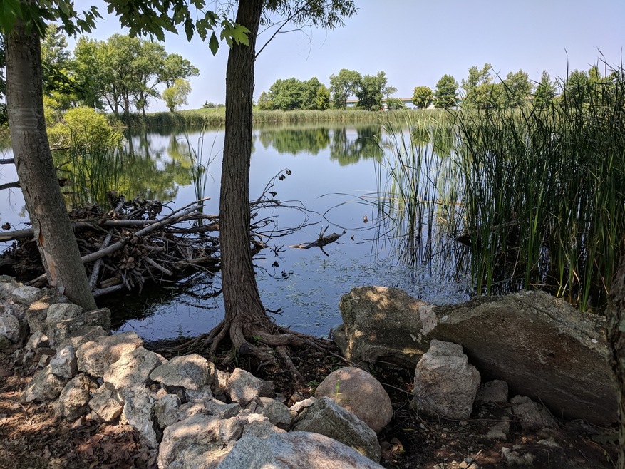 238 CR 900 E, Pesotum--Fishing Heaven