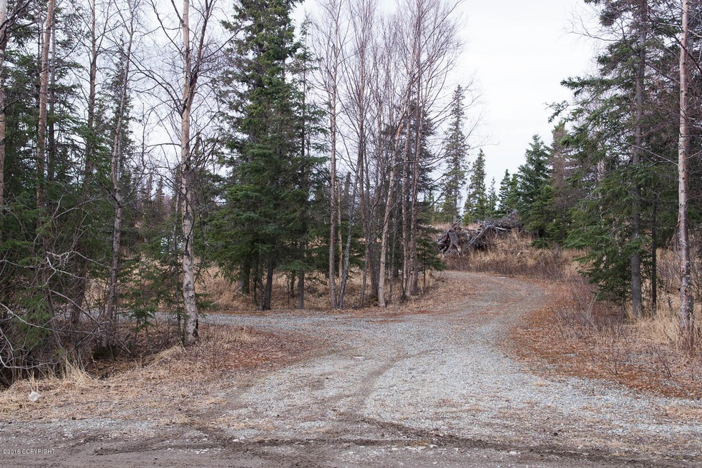 Circular Driveway Already Cleared