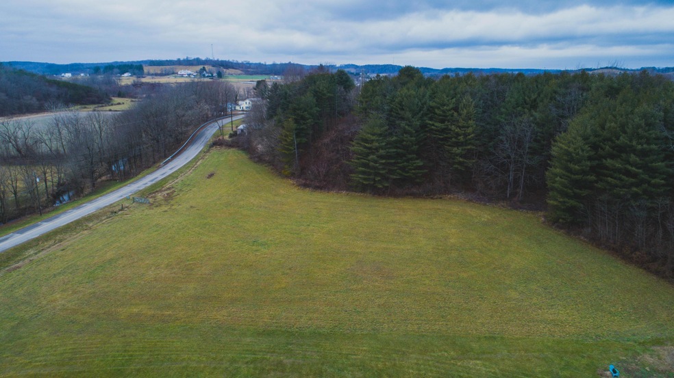 Site photo