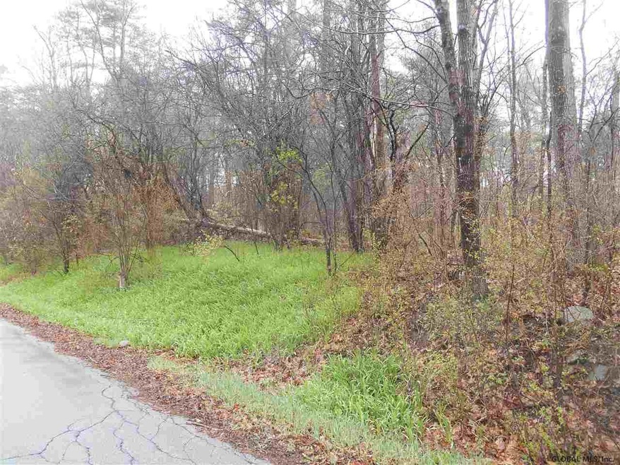 0 Heisler Rd unit 201608585, Milton, NY 12863 - photo 1