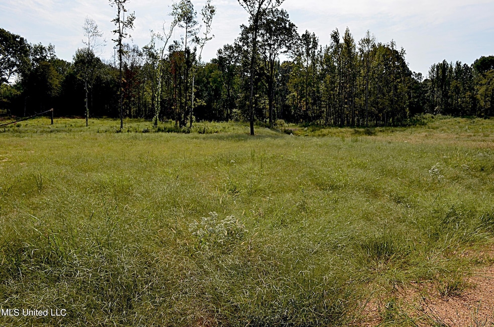Land 2