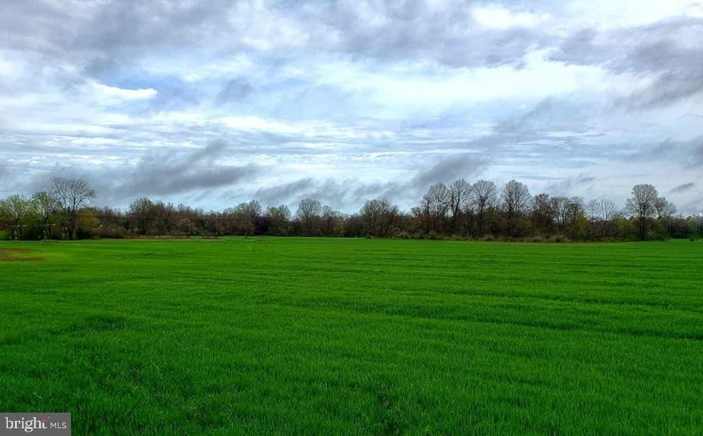 2 New Bridge Rd, Salem, NJ 08079 - photo 1