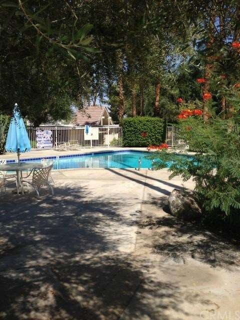 Floral Oasis in the Center of the Chalet Palms Com