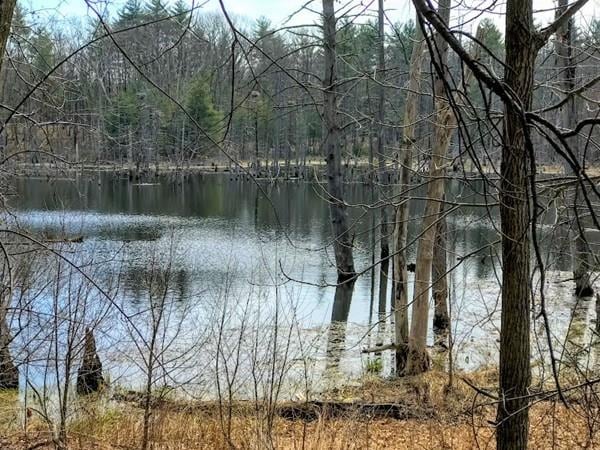 83 Clark Rd unit 42, Shirley, MA 01464 - photo 1