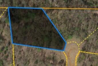 Lot 75