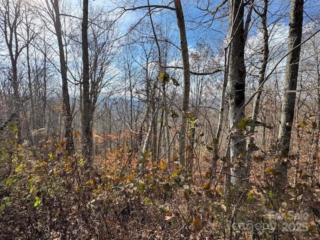 50 Scenic Wolf Ridge Rd, Mars Hill, NC 28754 - photo 1