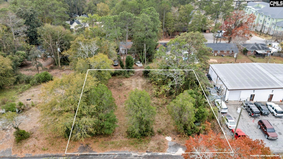 1231 Head St, Columbia, SC 29204 - photo 1