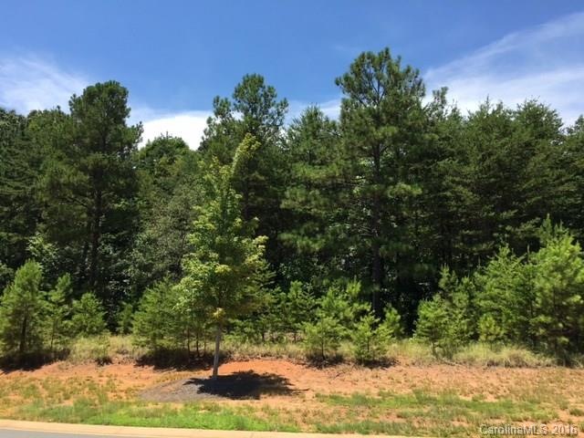 146 FEET ROAD FRONTAGE .85 OF AN ACRE