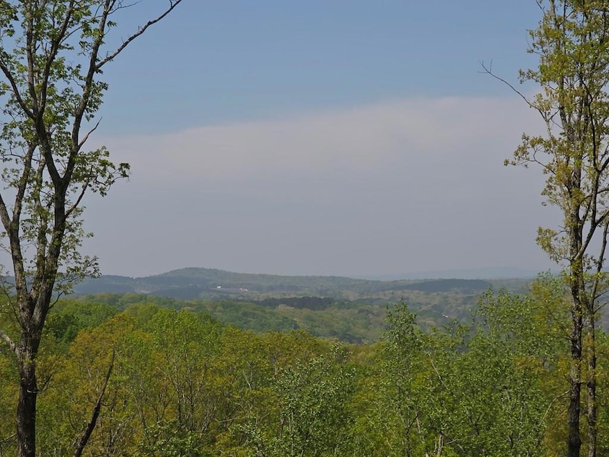 Lot 105 Twisted Oak Rd, Talking Rock, GA 30175 - photo 1