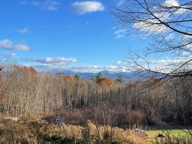 100 Brinns Way, Littleton, NH 03561 - photo 1