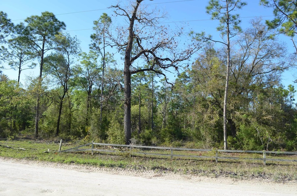 000 Sea Grass Dr unit 1, Keaton Beach, FL 32348 - photo 1