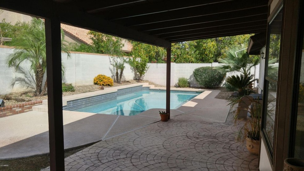 Backyard 2