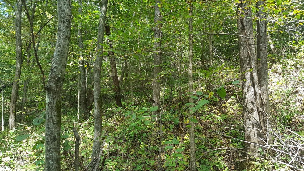 OO E Burns Valley Rd, Winona, MN 55987 - photo 1