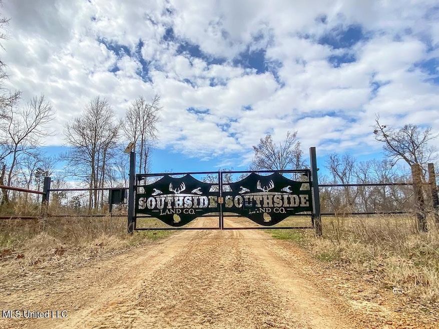 1002 Travelers Rest, Lorman, MS 39096 - photo 1