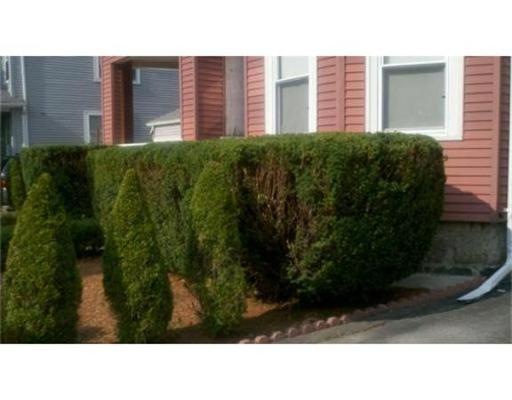 143 Pilgrim Ave, Worcester, MA 01604 - photo 1