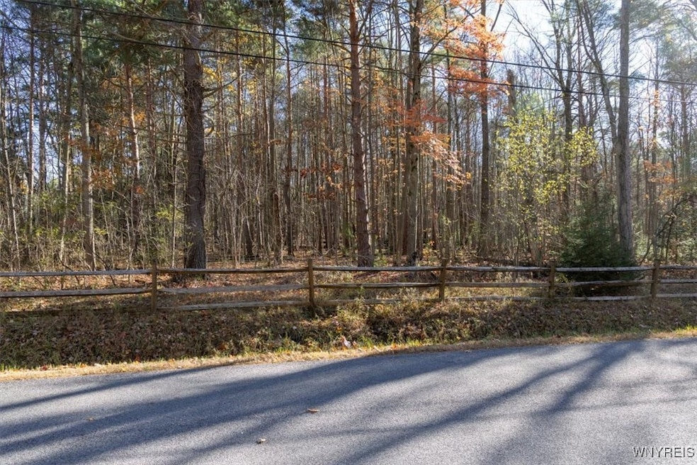 9881+9937 Larkin Rd, Eden, NY 14057 - photo 1