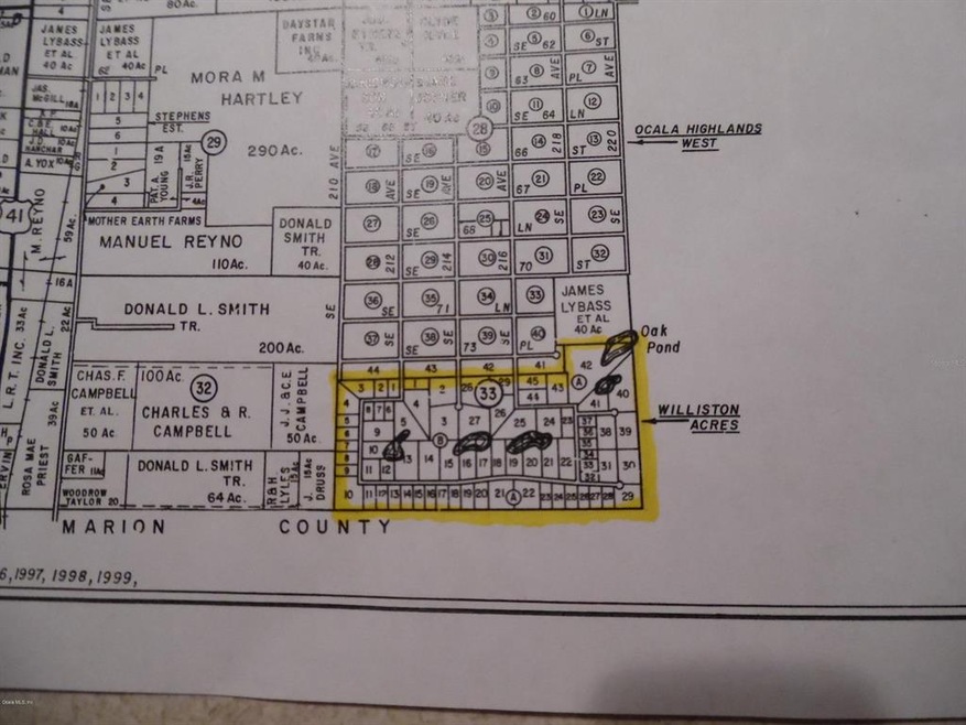 315 Acres SE 216 Ave, Morriston, FL 32668 - photo 1