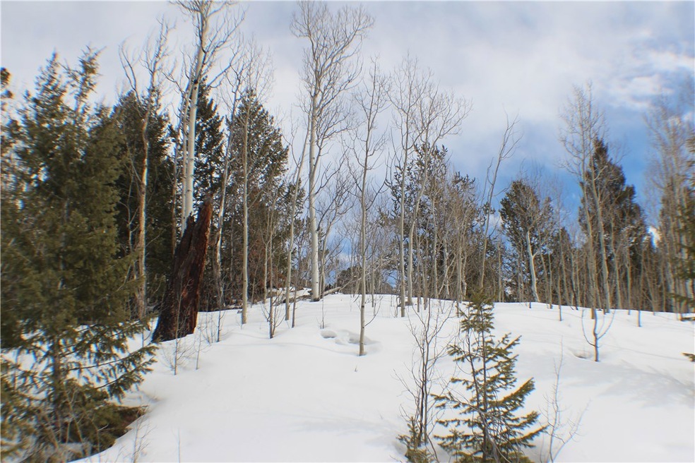 1051 Caracara Ln, Como, CO 80432 - photo 1