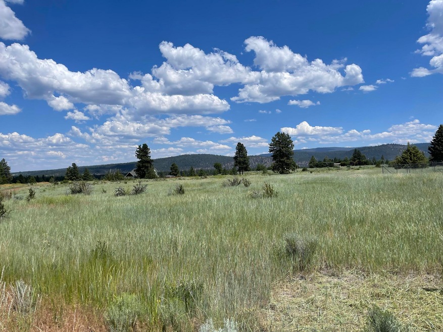 .31 Acres ~ Dawn Loop ~ Agency Lake