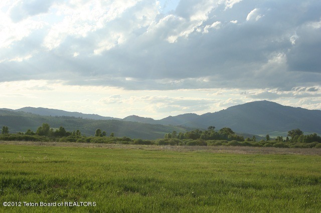 Great Horse Property