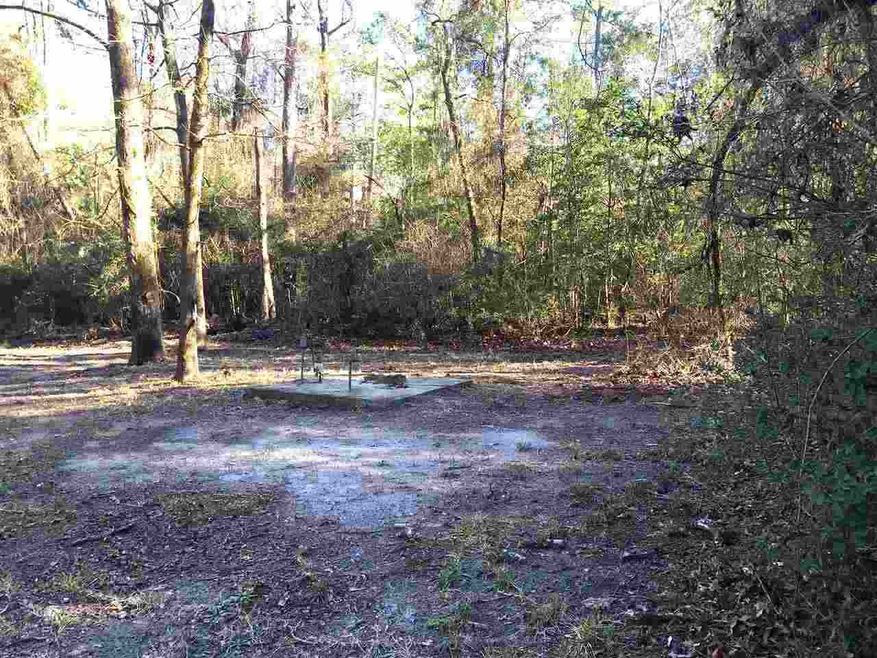 10 Maxson Rd unit 3, Crawfordville, FL 32327 - photo 1