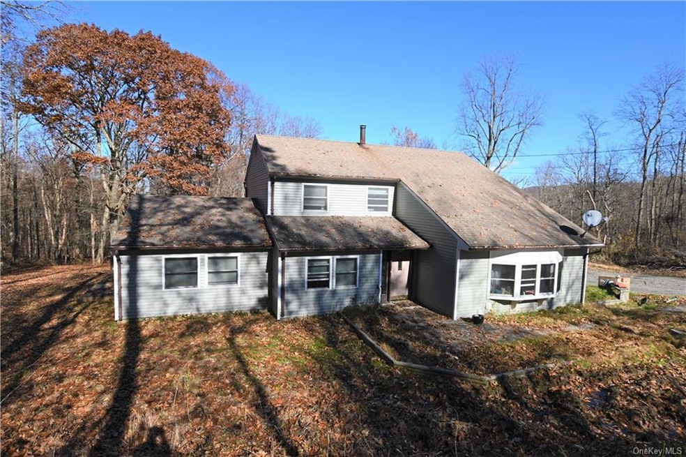 59 Highland Dr, Highland Mills, NY 10930 - photo 1