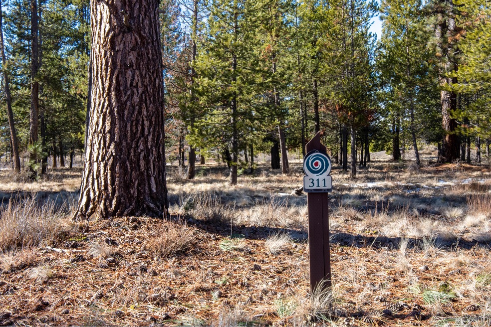 311 Trailmere Circle-4