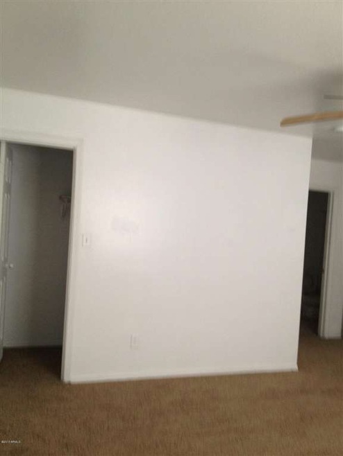 photo (15)