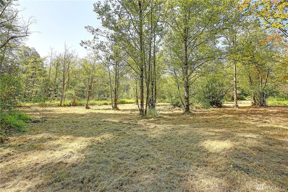 200 241st St NW, Stanwood, WA 98292 - photo 1