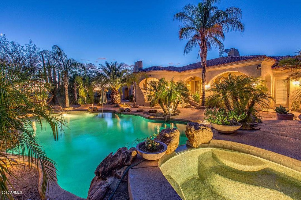 Back yard