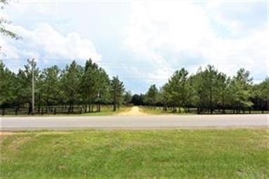 ENTRANCE TO PREPPED 12.52+/- ACRE HOME SITE LOT - 