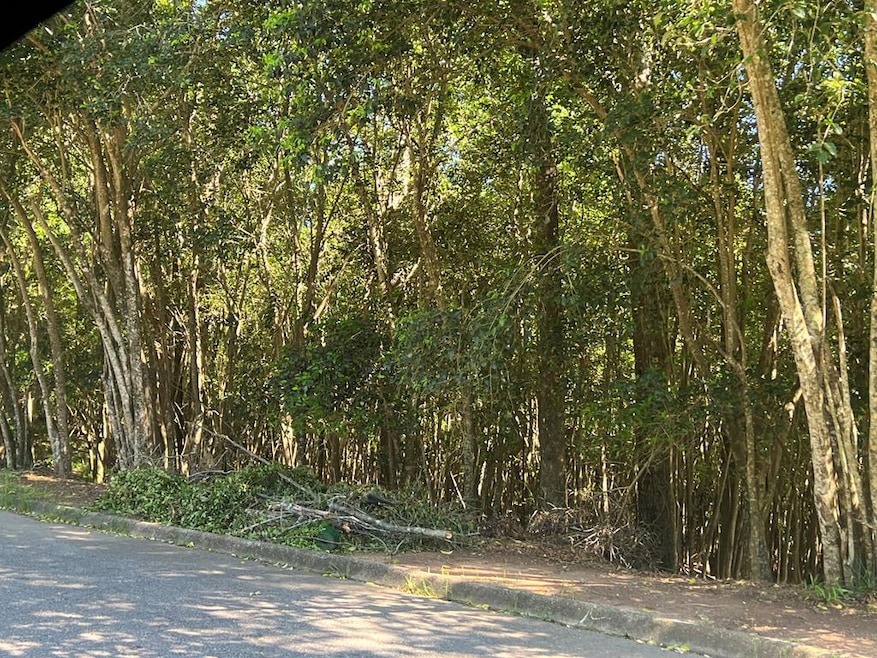 0 University Ave unit 25726, Troy, GA 30681 - photo 1