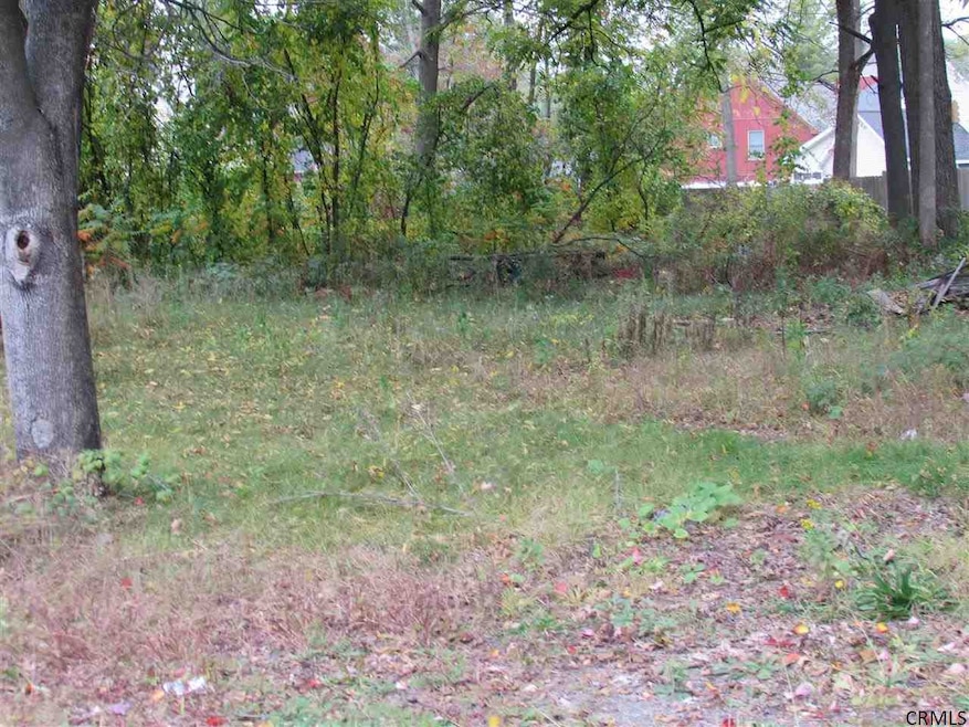 321 Jefferson St, Saratoga Springs, NY 12866 - photo 1