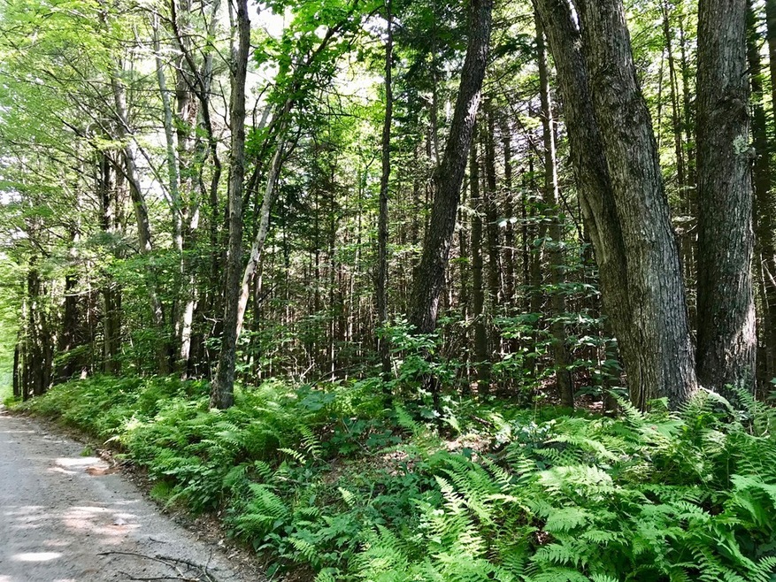 0 Hosmer Rd unit 72371306, Heath, MA 01346 - photo 1