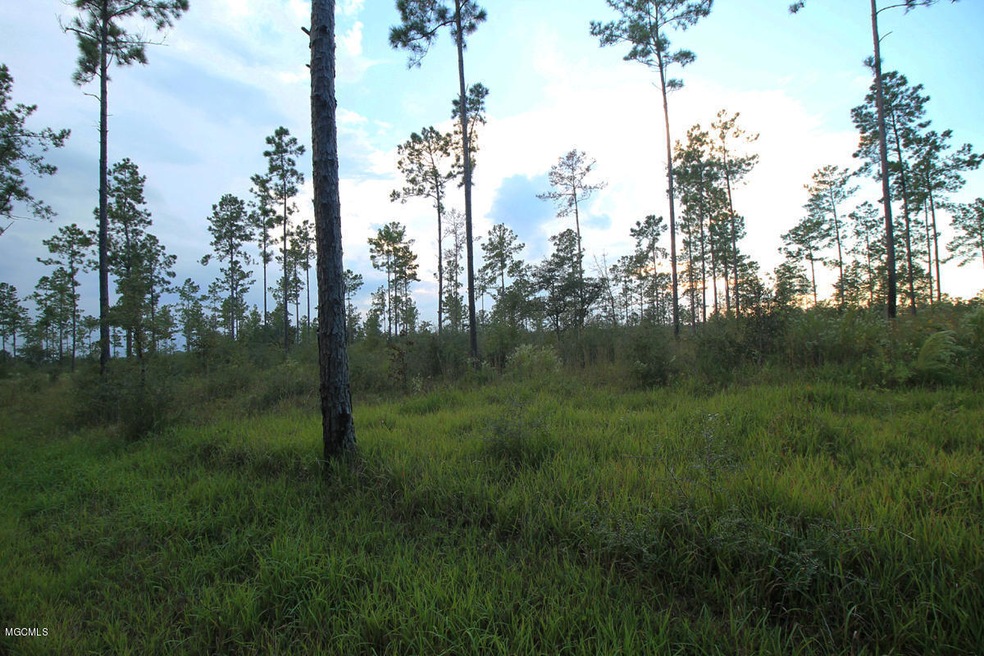 3.75 Ac Homestead Rd, Lucedale, MS 39452 - photo 1
