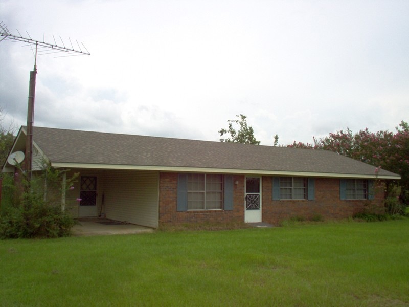 Main View