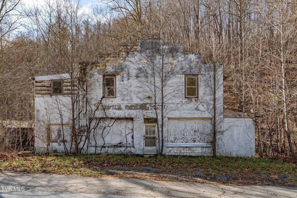 6194 U S 19e, Hampton, TN 37658 - photo 1