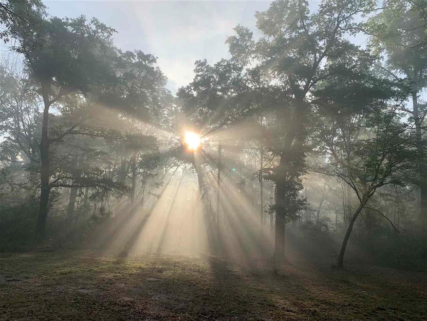 348 Cooperwood Rd, Crawfordville, FL 32327 - photo 1