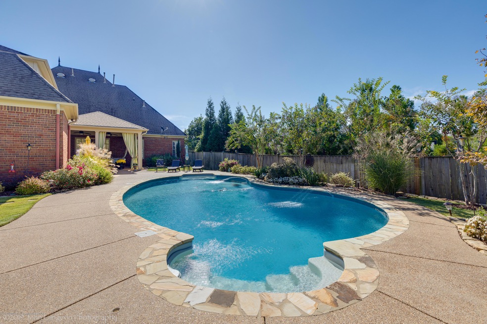 Backyard Oasis
